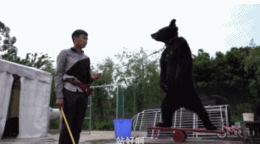 印尼富二代用孩子脊骨做手提包,印尼富二代炫富的奢侈品