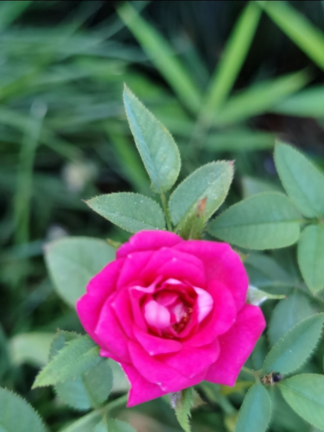 新高一家长需要了解什么,高一父母应该怎么做