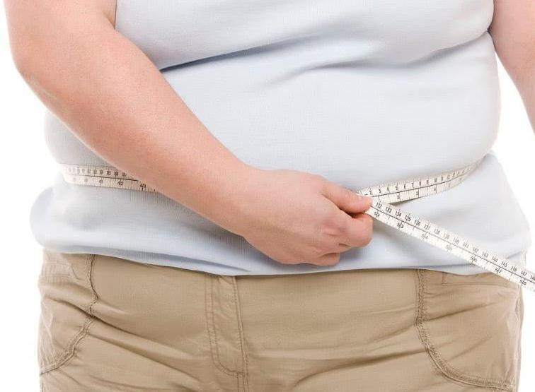 减肥早餐怎么吃简单又好吃,面包早餐0脂肪零糖三明治