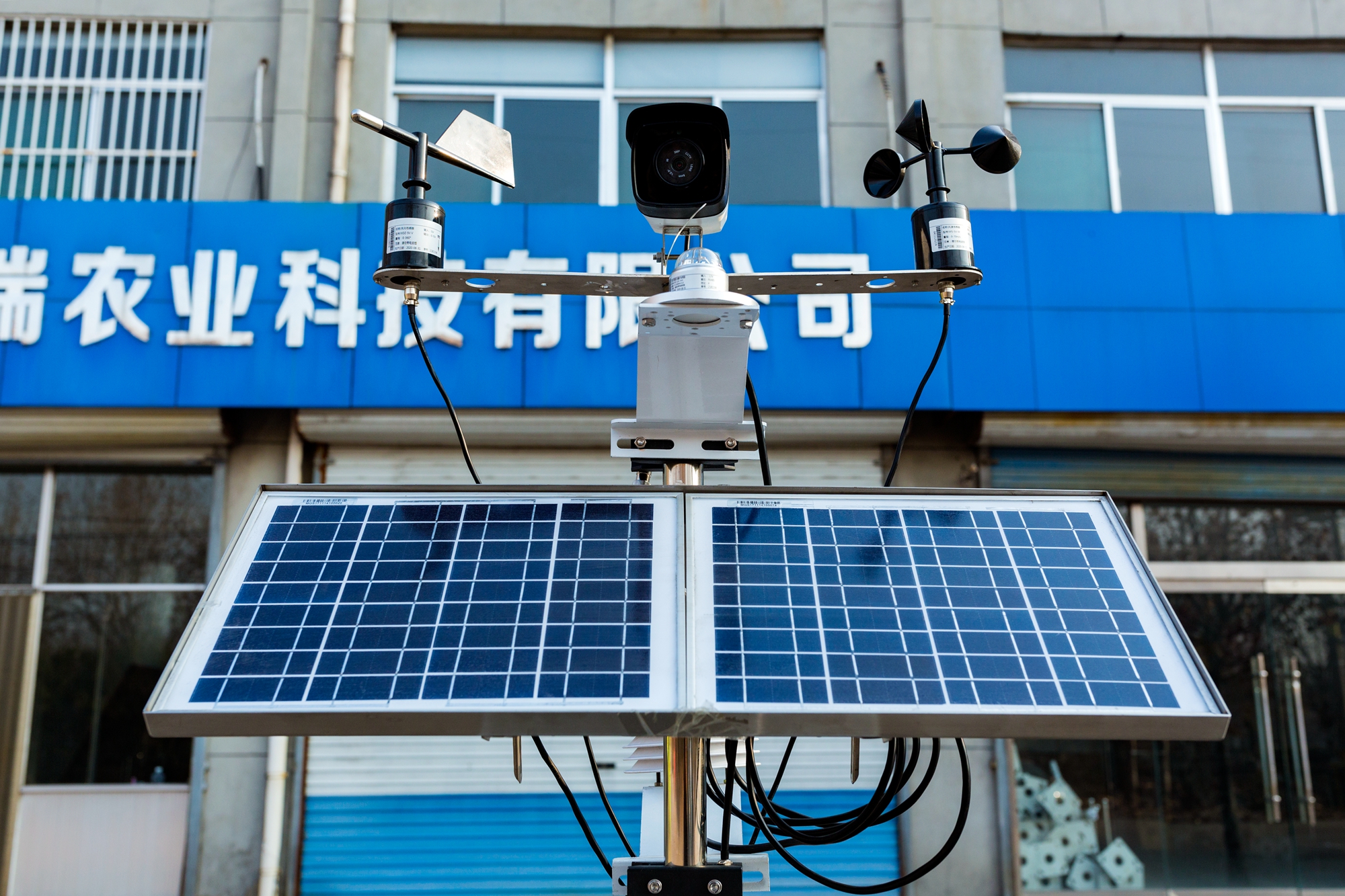 邹平：山东德瑞农业科技有限公司文体活动喜迎新春佳节