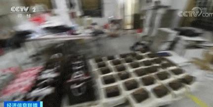 穷人背再贵的包别人也觉得是假的,当别人问我为什么背那么贵的包