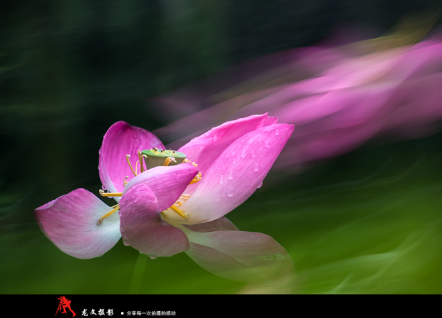 灏煎悍澶氶噸鏇濆厜鏁欑▼,浣宠兘澶氶噸鏇濆厜鏁欑▼