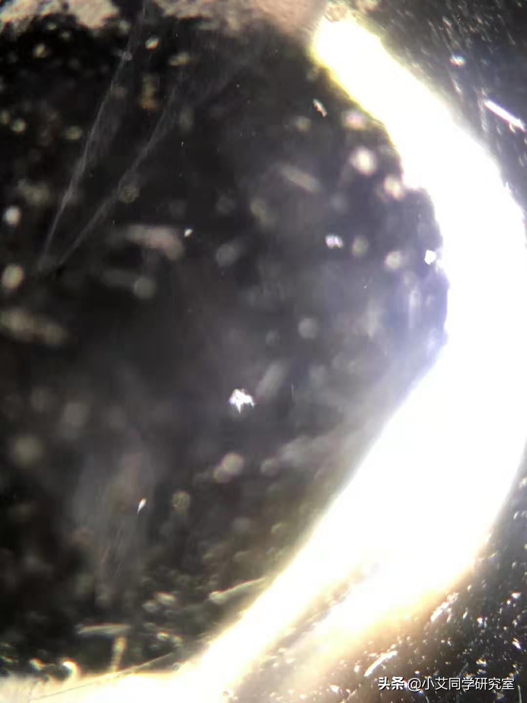 揭秘珠宝鉴定师的秘密,珠宝鉴定小常识