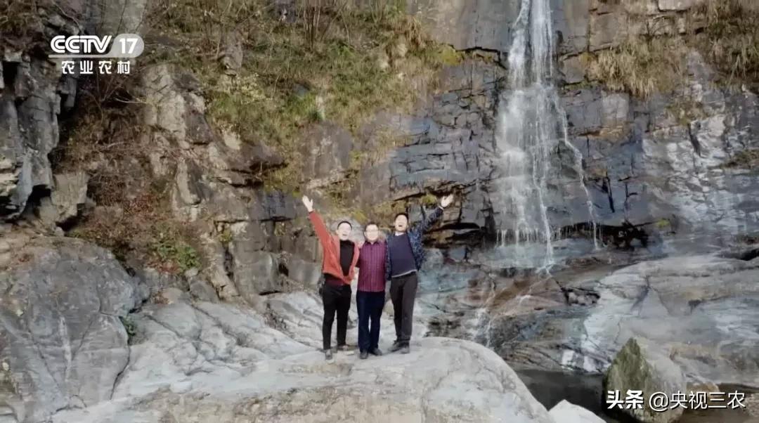 他放弃高薪回村干这一行，旁人不理解，如今大获成功