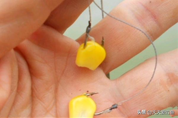 防止小鱼闹窝的5大套路,防止小鱼闹窝最有效的4大技巧