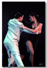 鎷変竵缇庢床闊充箰,鎷変竵缇庢床闊充箰婕斿敱