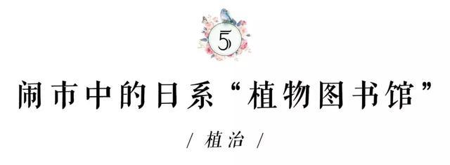 与花为伴，在这些魔都花店，邂逅另一个春天！