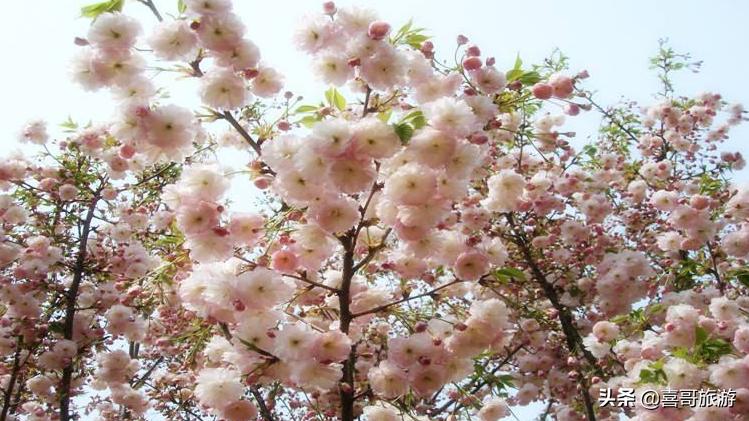 三台县到云南自驾游路线,绵阳三台山游玩攻略