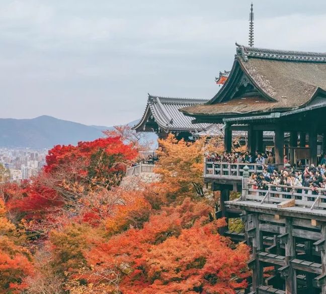 「诗词鉴赏」元曲中的秋天，另一番美丽