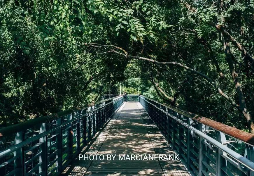 什么是徐汇,什么是海派甜心