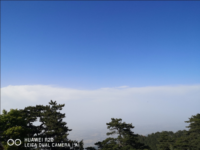 洛阳到华山一日游,洛阳到华山自驾游攻略