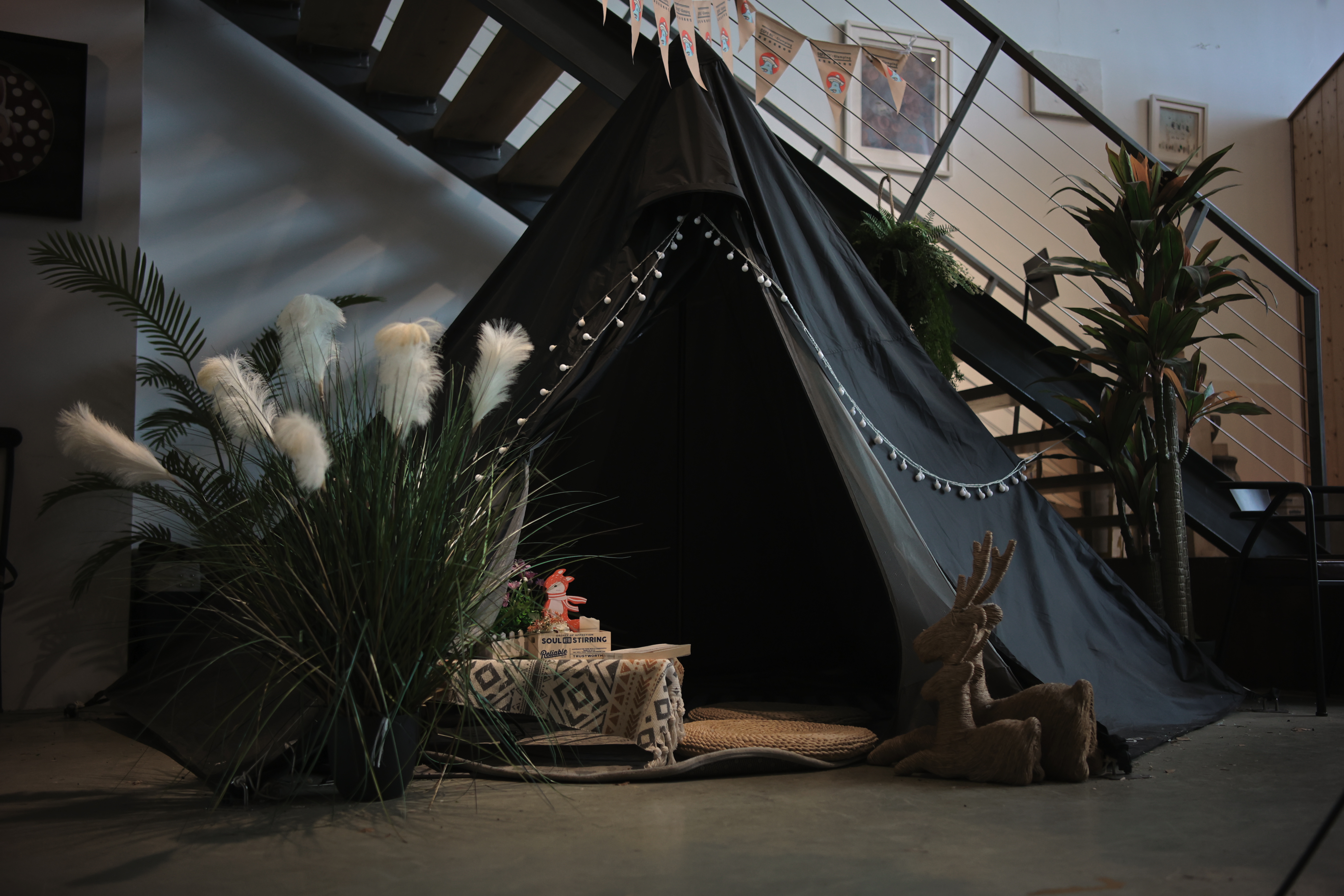 35mm镜头的最佳拍摄距离,摄影新手适合35毫米镜头吗