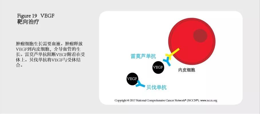 肺癌指南2023年版下载,肺癌治疗指南2023文档下载