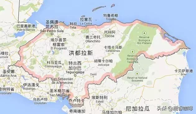 中美产量第一，为何感觉我们都不常见到洪都拉斯咖啡？