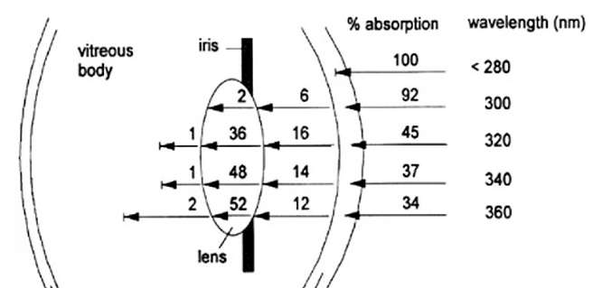 显示效果好的护眼显示器,专业护眼显示器推荐2021