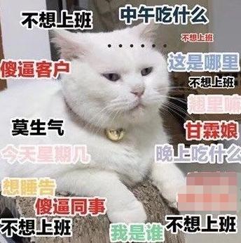 微信曝光3480万青年“私生活”,国庆宅家7天,步数不过百