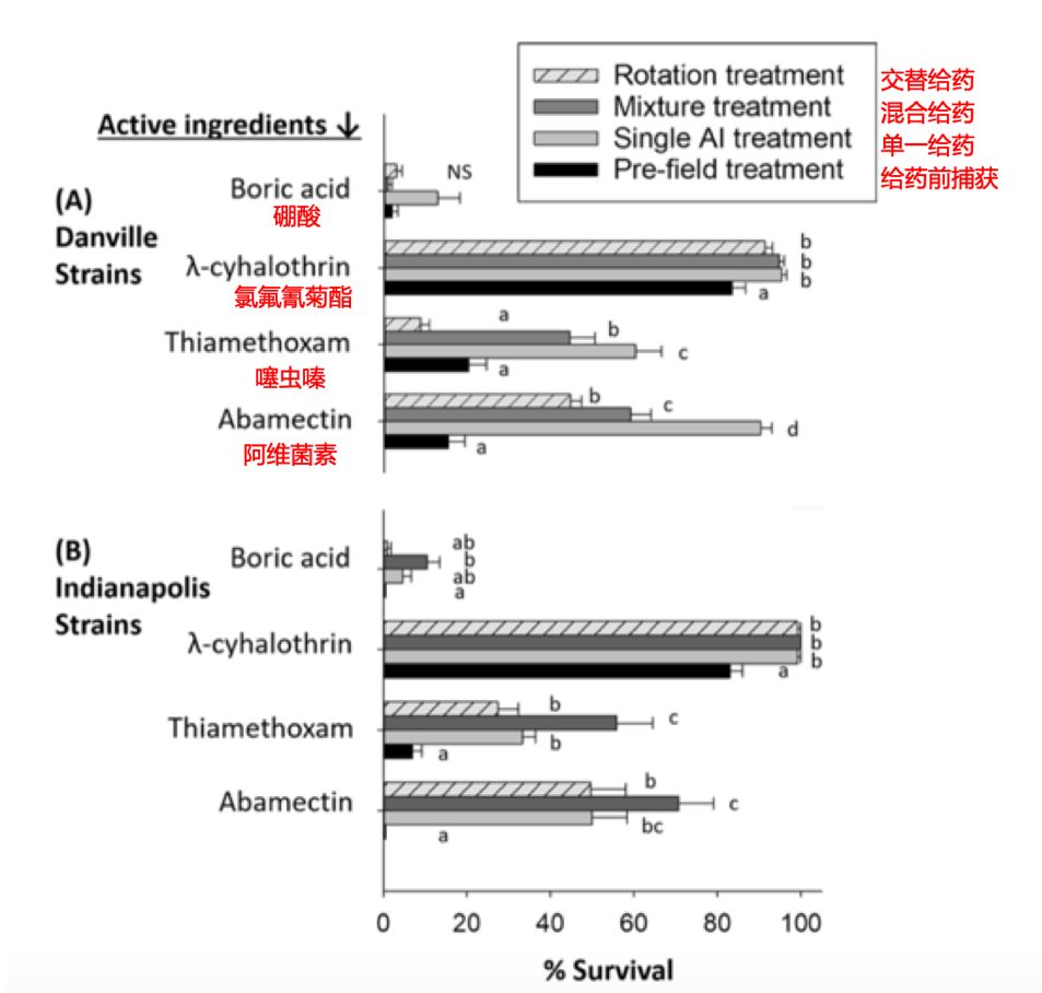 你家的蟑螂多吗,你家的蟑螂再嚣张也躲不过这一招