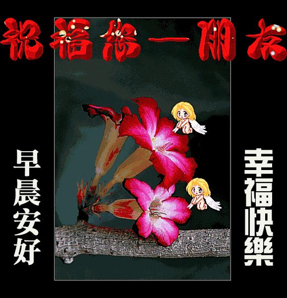 看透人生的唯美句子早安,伤感感悟人生语录早安