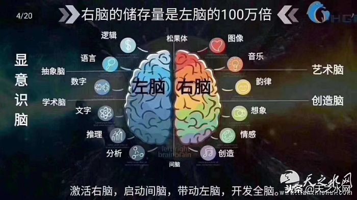 清大全脑开发直播课,清大全脑开发公益课堂