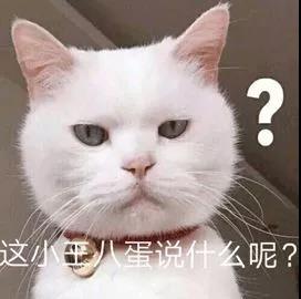 GPA、熬夜、异国恋...你占了几个？