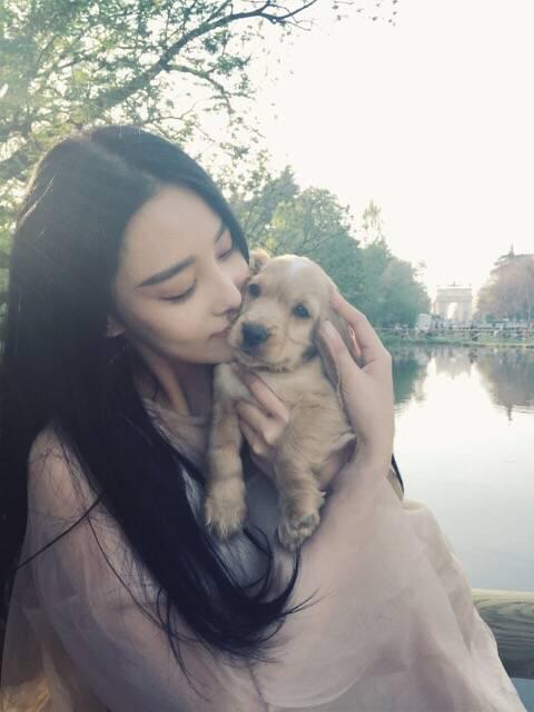 张馨予浪姐首秀,张馨予浪姐淘汰