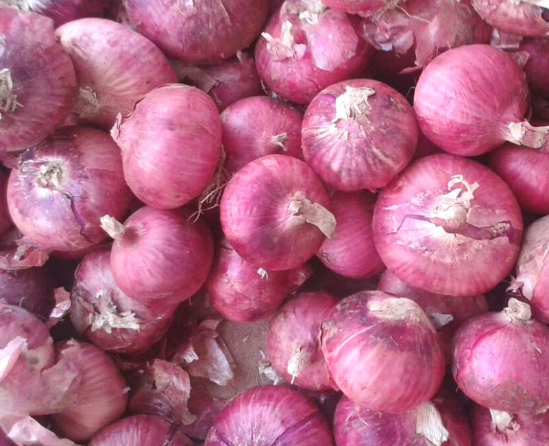 来到天下第一关,来到天下第一窖的感受