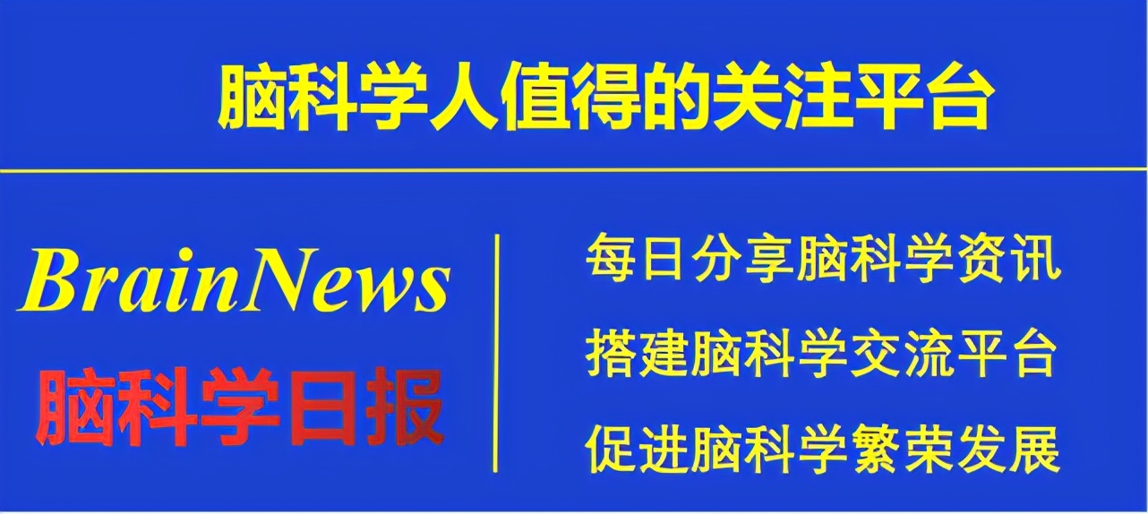 脑科学日报：干细胞移植是治疗脑创伤的新希望？