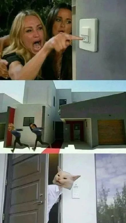 这个“弱智”遍地跑的贴吧承包了我最近所有的笑点