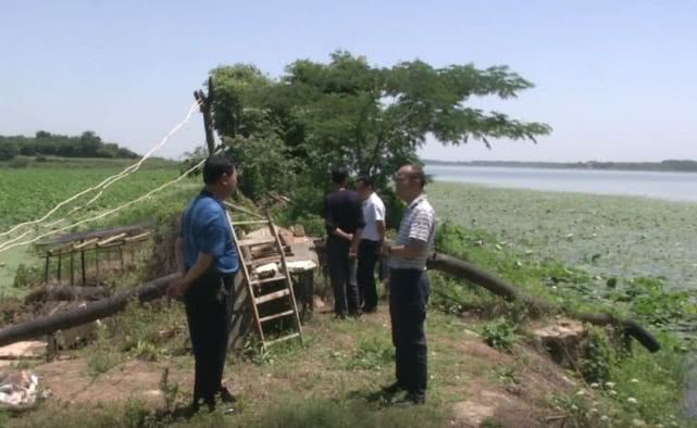 池塘来了入侵者,鱼塘来了不速之客