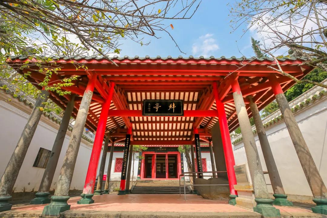 citywalk最受欢迎的旅游方式,citywalk自由行