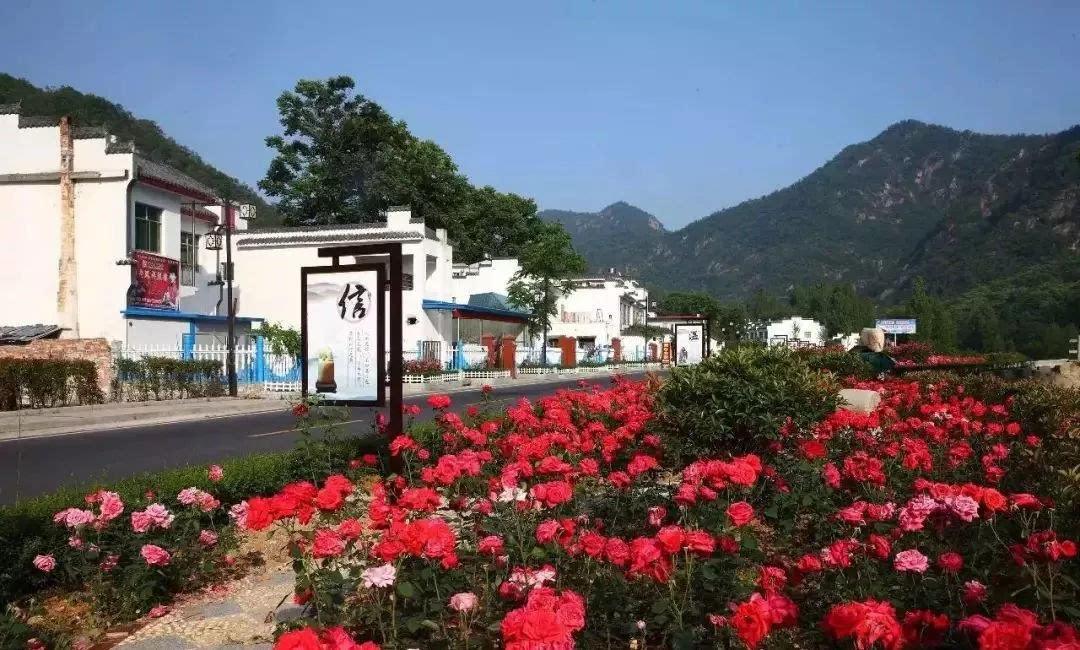 我对大国三农的认识,大国三农是什么意思