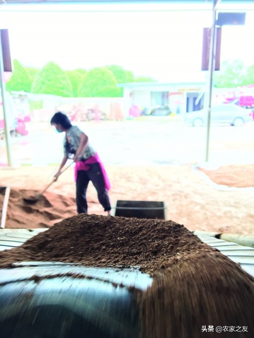 广西兴安：唐新全现代化种粮大户带领村民“就业”