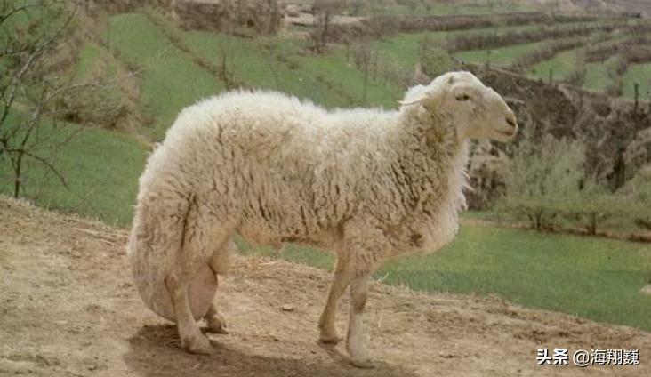 山海经第五卷小说,山海经第五篇