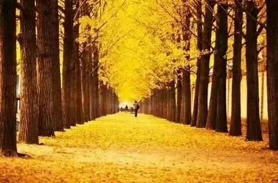 早上下中雨什么时候会停,大雨过后的打卡