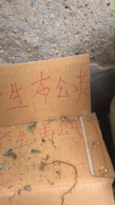 菜市男孩视频素材,菜市场男童