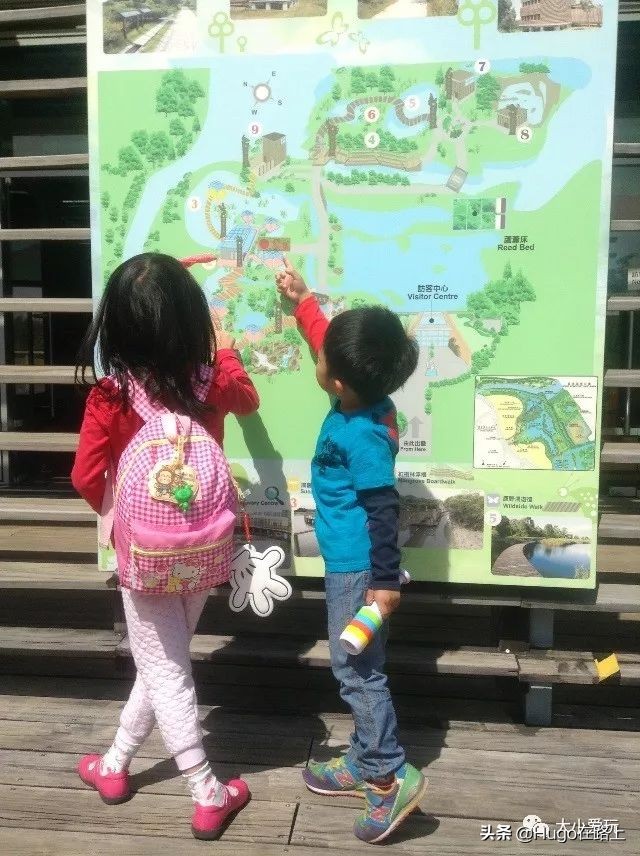 香港亲子游图文攻略图片大全,去香港亲子旅行攻略路线图片