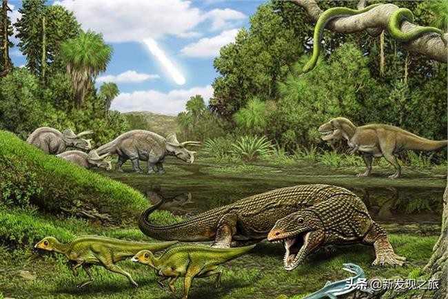 地球第六次生物大灭绝会怎么样,地球曾出现过几次物种大灭亡