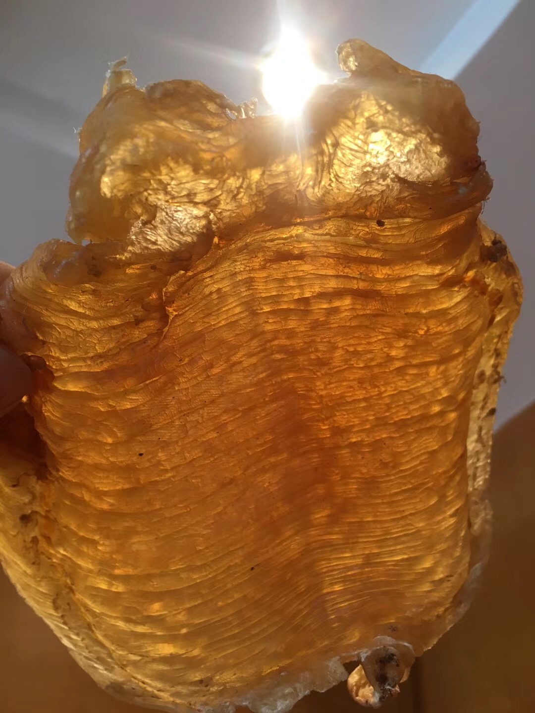 孕妇经常吃燕窝和花胶对胎儿好么,备孕期吃燕窝好还是孕期吃好