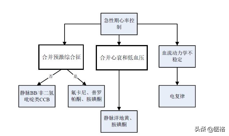 心房颤动病人如何测量心率和脉搏,心房颤动心率不齐最佳恢复方法