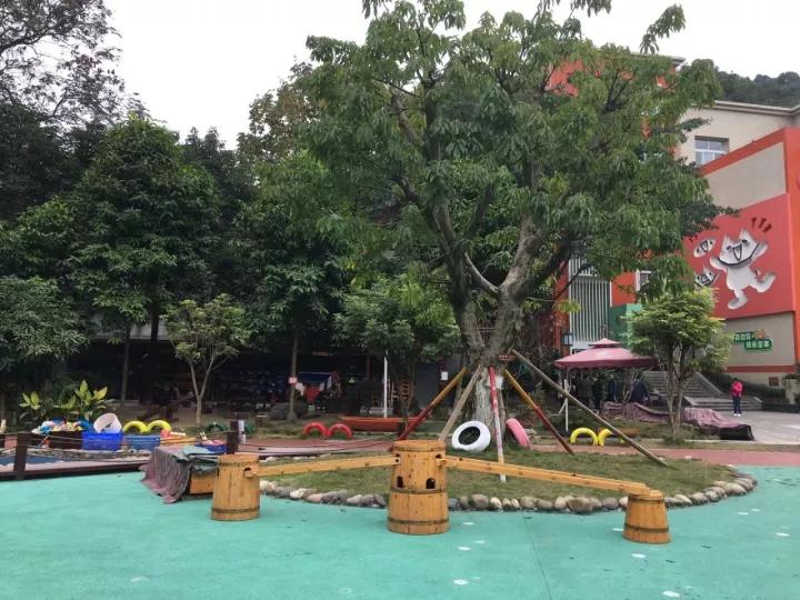 4.13重庆逐梦歌乐山上的“巴学园”探索“世界级乡村幼儿园