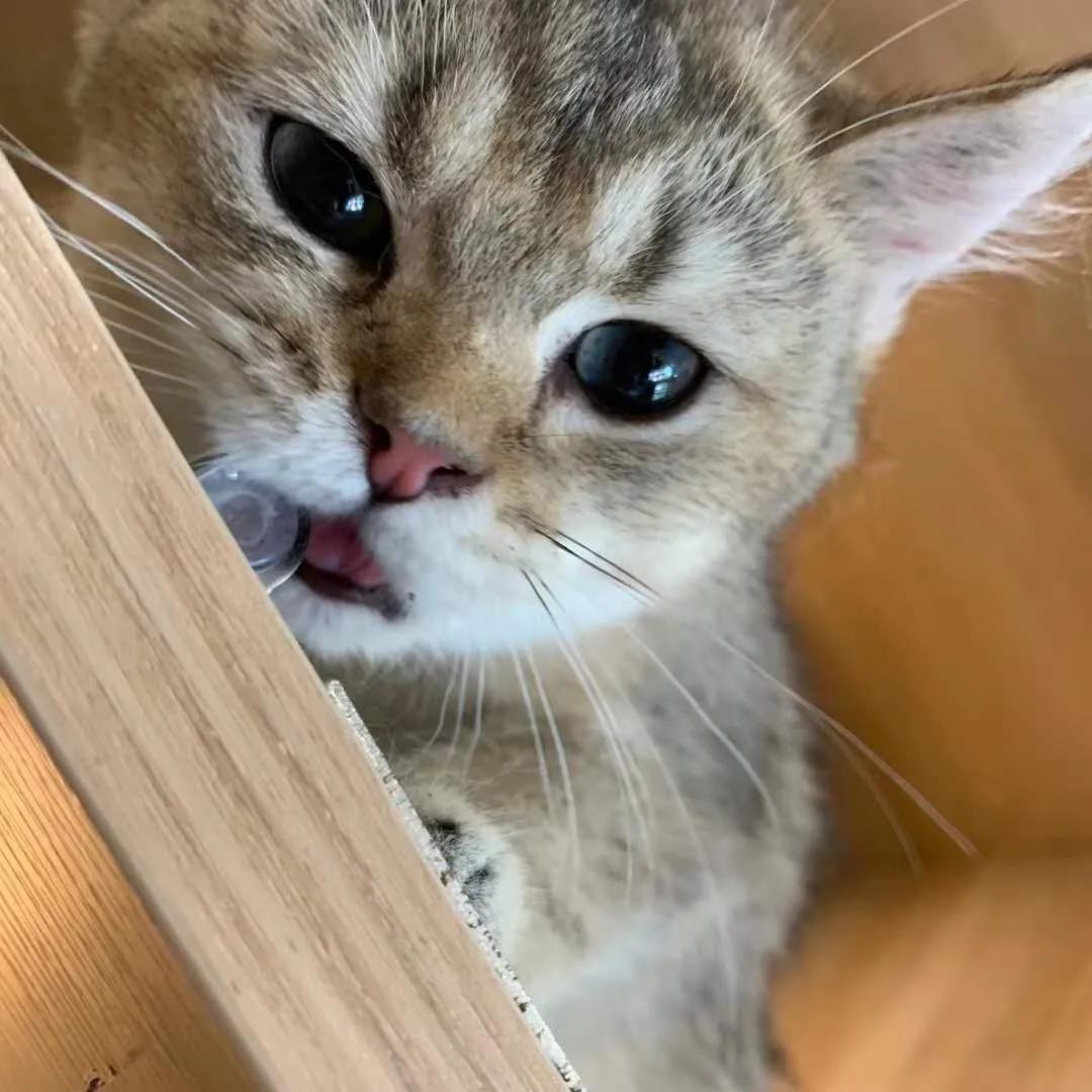 100个稀奇古怪的赚钱点子,最不可思议的搞钱方式