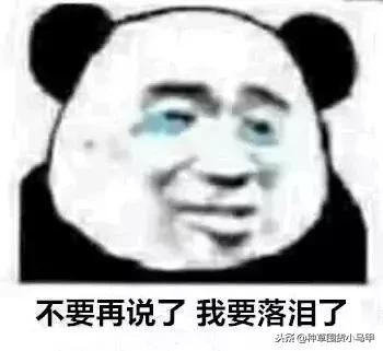 kiko限定值不值得买,kiko圣诞限定过期