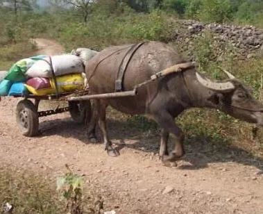 遥远的故事原文,遥远的故事