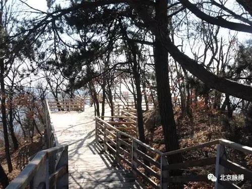 画说回龙观,北京最漂亮的森林公园