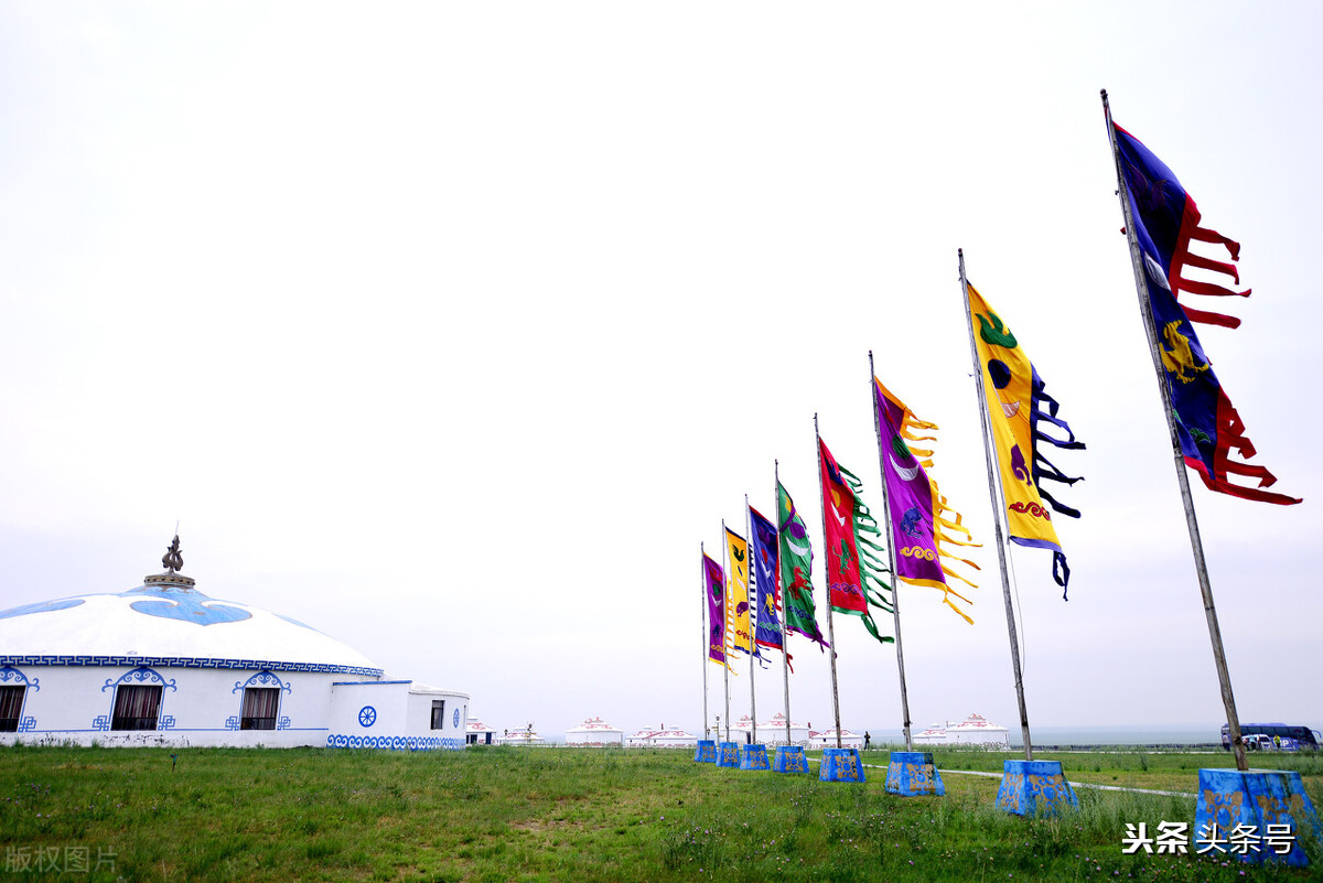 内蒙草原纯正马奶酒散装,内蒙古最有名的马奶酒