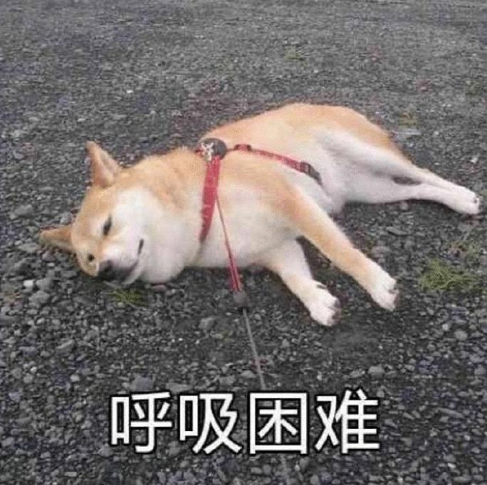 2019年的支付宝账单你看了吗,2023支付宝年度账单大全