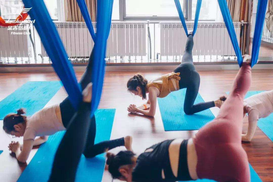 yoga从零开始,yoga的风格是什么