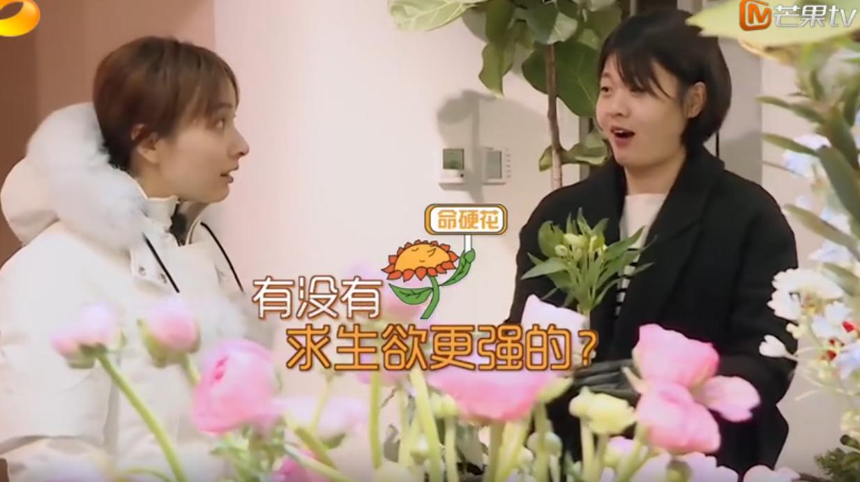 吴昕自己下楼买花视频,吴昕买花视频完整版