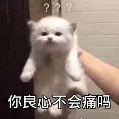 名创优品抄袭,山寨版的名创优品