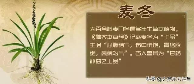 大美东方栏目新乡,大美东方高一61班直播